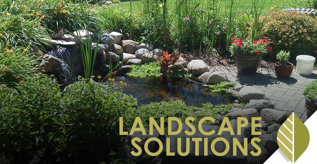 Landscape Solutions text overlaid on photo of backyard pond