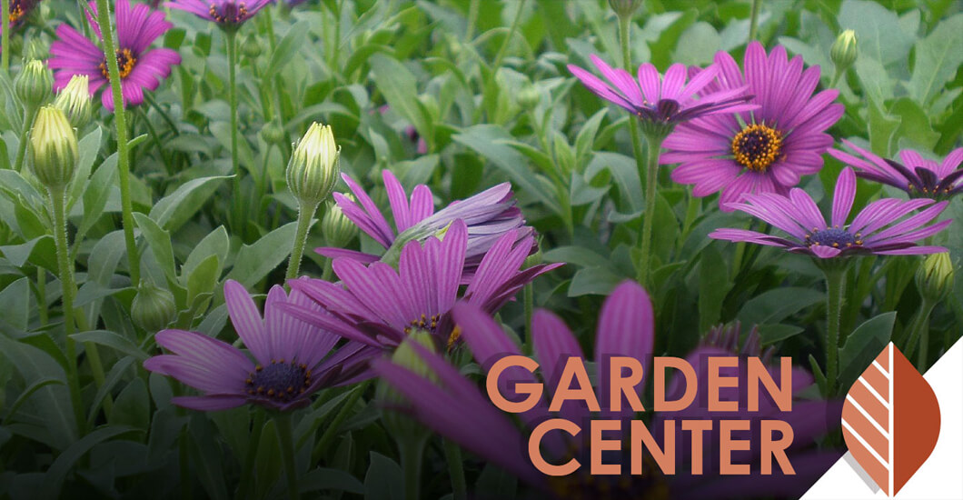 Garden Center text overlaid on photo of flowers