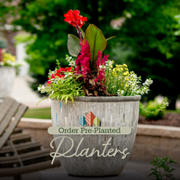 thumbnail image for blog post: Order your Spring Planters Today!