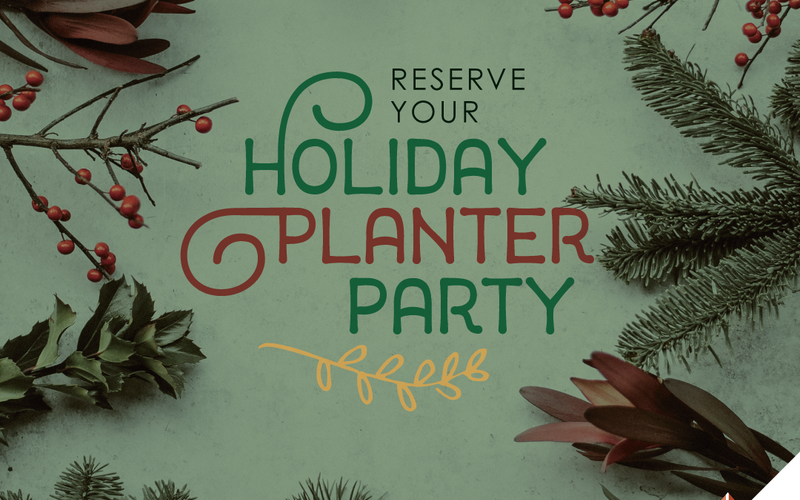 thumbnail image for blog post: Holiday Planter Parties