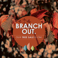 thumbnail image for blog post: Fall Tree Sale!
