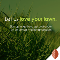 thumbnail image for blog post: Let us love your lawn