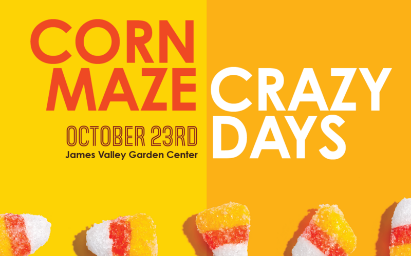 thumbnail image for blog post: Corn Maze Crazy Days