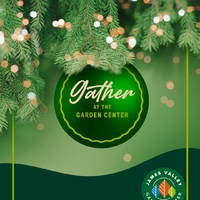 thumbnail image for blog post: Holiday Planter Parties!