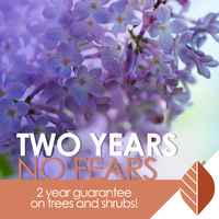 thumbnail image for blog post: Two Years No Fears