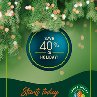 thumbnail image for blog post: Shop Small!