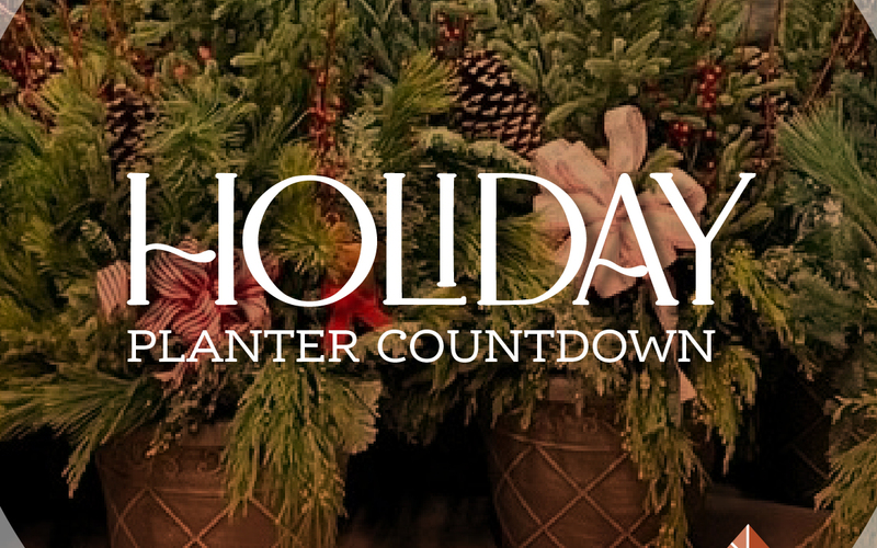 thumbnail image for blog post: Holiday Planter Parties!