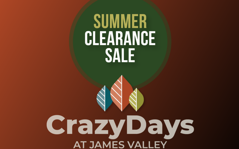 thumbnail image for blog post: Crazy Days Clearance Sale!