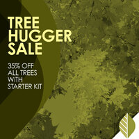 thumbnail image for blog post: Tree Hugger Sale