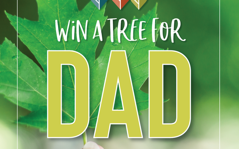 thumbnail image for blog post: Win A Tree For Dad!
