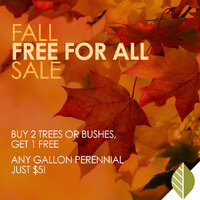 thumbnail image for blog post: Fall Free for all Sale