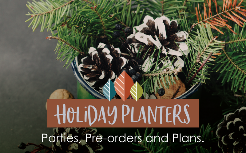 thumbnail image for blog post: Holiday Planter Parties and Pre-Orders