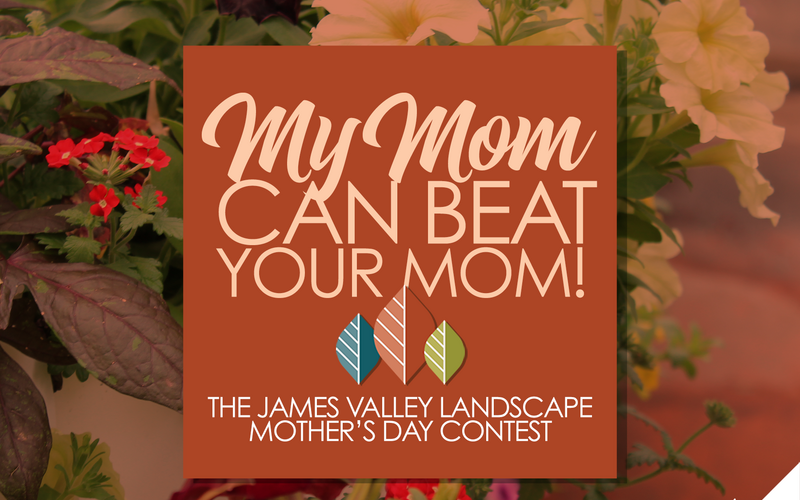 thumbnail image for blog post: Mother's Day Contest