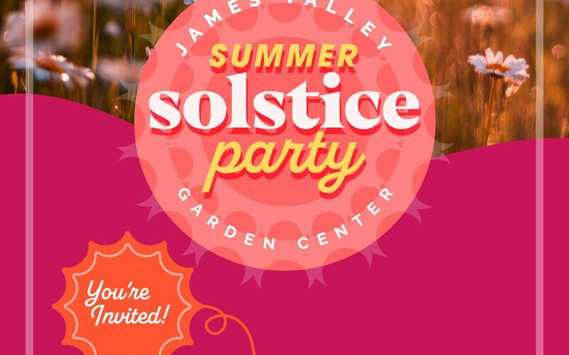 thumbnail image for blog post: Summer Solstice Party