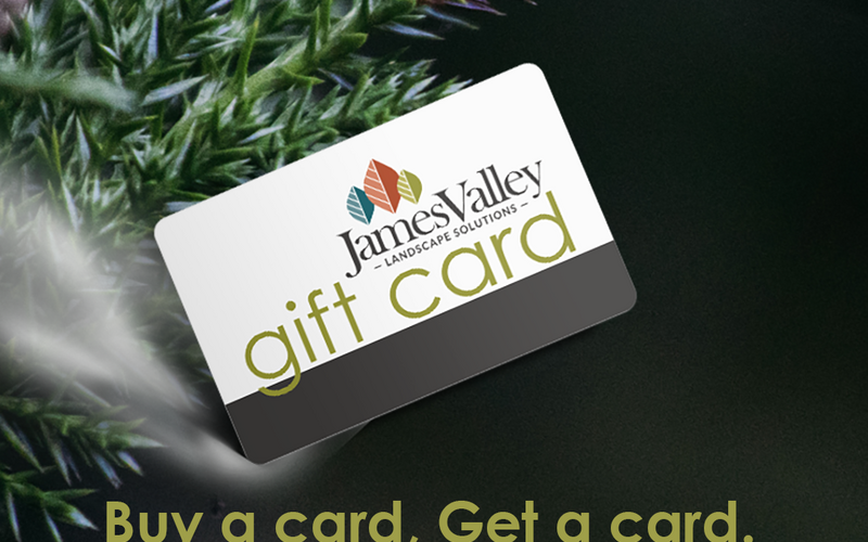 thumbnail image for blog post: Gift Card Specials Through December 20!