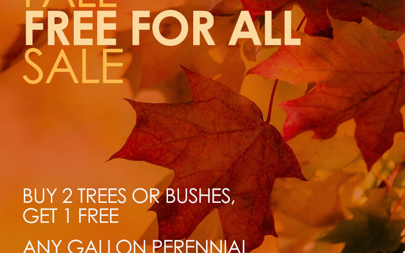 thumbnail image for blog post: Fall Free for all Sale