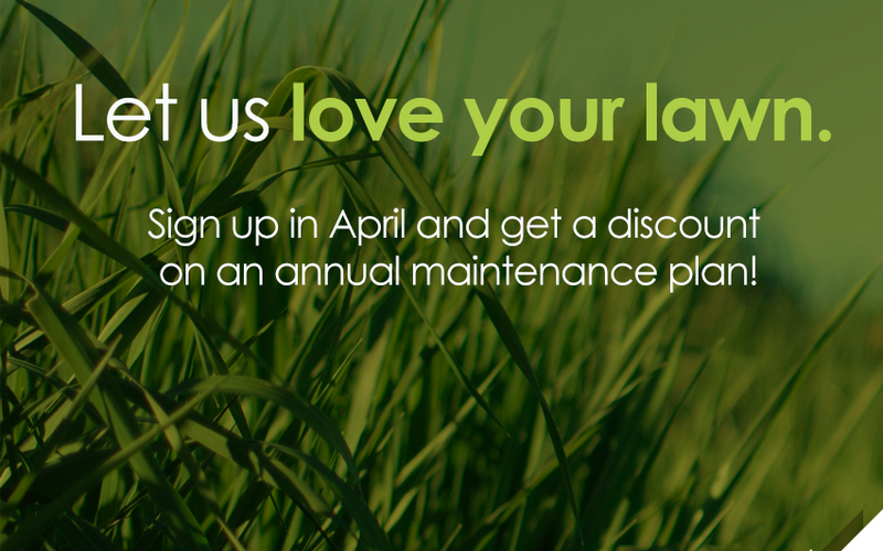 thumbnail image for blog post: Let us love your lawn