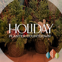 thumbnail image for blog post: Holiday Planter Parties!