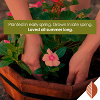 thumbnail image for blog post: Order Your Pre-Potted Plants Today!