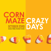 thumbnail image for blog post: Corn Maze Crazy Days