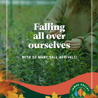 thumbnail image for blog post: Fall for All