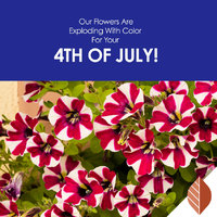 thumbnail image for blog post: Happy 4th of July!